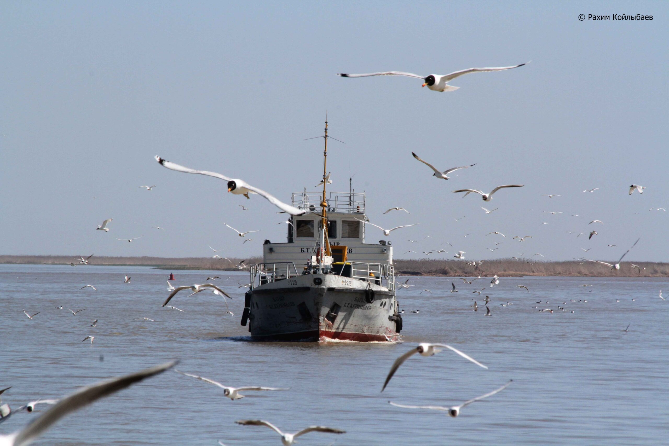 Каспийское море промысел