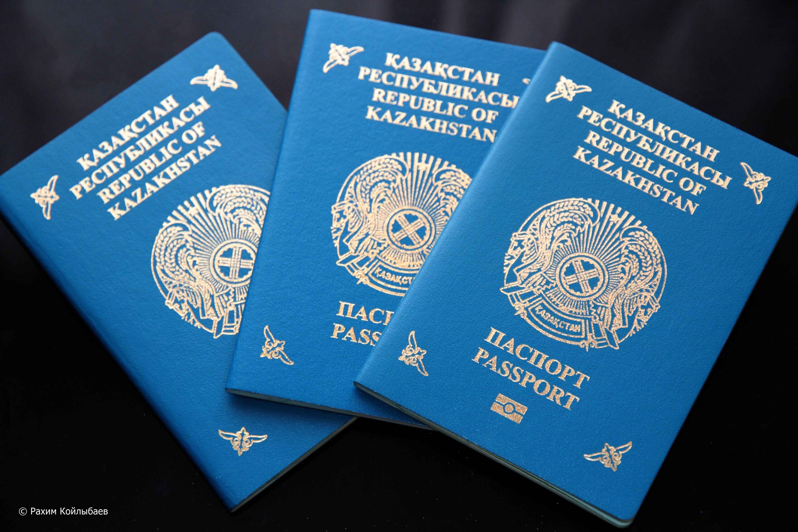 Как получить гражданство казахстана 2024
