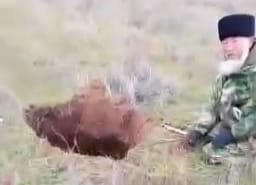 В Астраханской области всадник вместе с лошадью ушел под землю (видео)