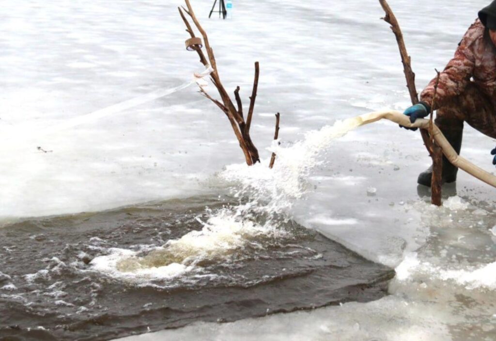 На водоемах Атырауской области проводятся работы по аэрации