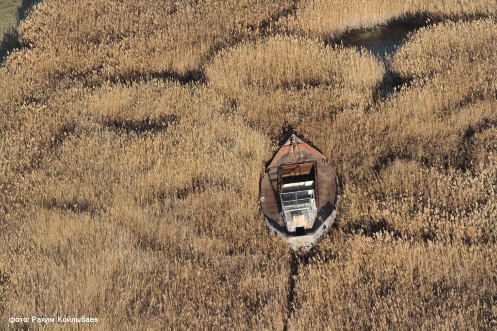 На изучение и сохранение Каспия в Казахстане выделено 1,1 млрд тенге