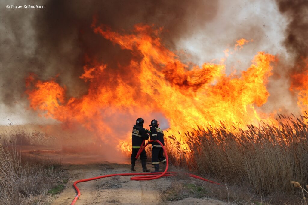 В Астраханской области за сутки зарегистрировано 14 ландшафтных пожаров