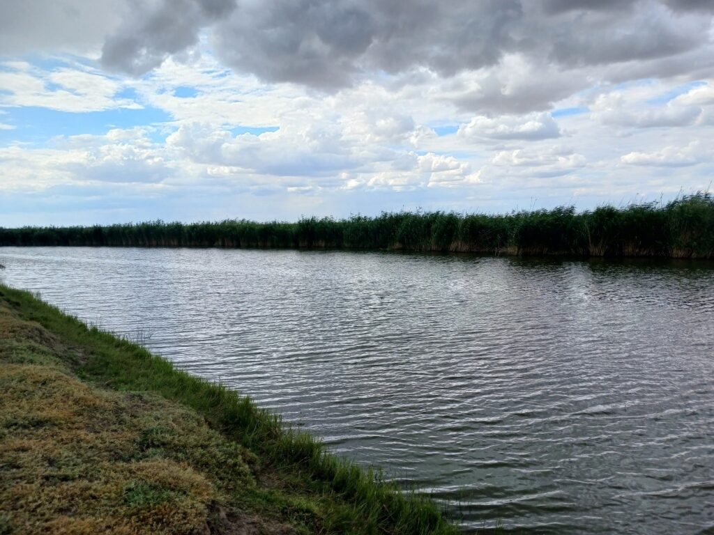 Последний день у реки: в ЗКО утонули три выпускника