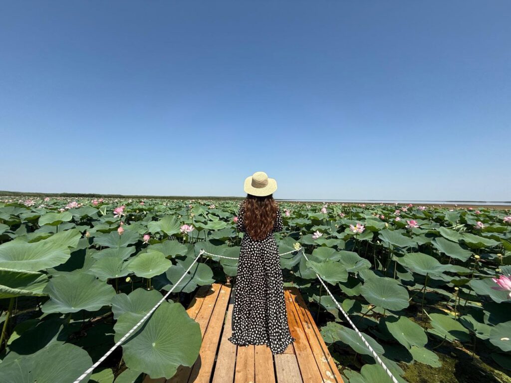 LOTUS FEST: инфраструктура на 192 млн послужит туристам и после фестиваля